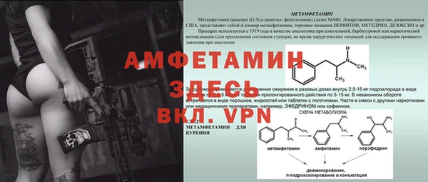 ПСИЛОЦИБИНОВЫЕ ГРИБЫ Беломорск