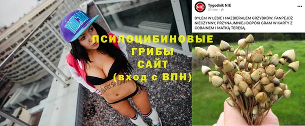 ПСИЛОЦИБИНОВЫЕ ГРИБЫ Беломорск