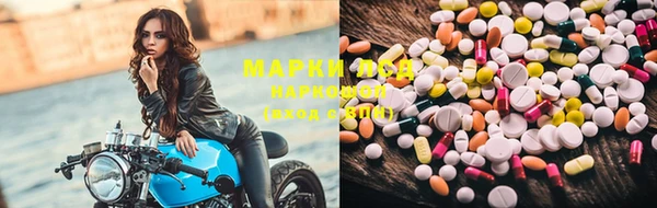 ПСИЛОЦИБИНОВЫЕ ГРИБЫ Беломорск